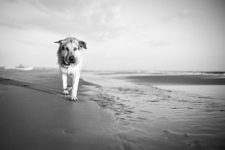 Instant, Leica Monochrom, Noir et blanc